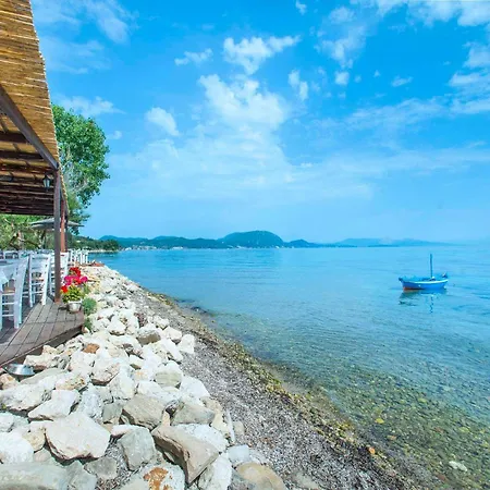 Villa Elaia Agios Dimitrios (Corfu)